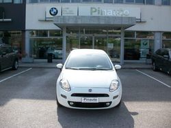 Bianco Usata 2014 Fiat Punto Street | 8000 € (Molto cara)