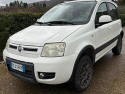 Bianco Usata 2010 Fiat Panda 4x4 Due volumi | 4500 € (Buon prezzo)