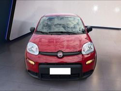 Rosso Usata 2024 Fiat Panda Tre volumi | 11.900 € (Buon prezzo)
