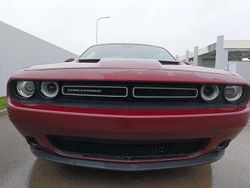 Bordeaux Usata 2019 Dodge Challenger Coupé | 26.999 € (Buon prezzo)