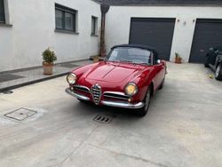 Rosso Usata 1960 Alfa Romeo Spider Cabrio | 59.999 €