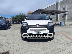Bianco Usata 2020 Fiat Panda Cross Cross Due volumi | 11.500 € (Buon prezzo)