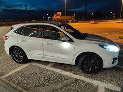 Bianco Usata 2021 Ford Kuga SUV | 20.000 € (Buon prezzo)