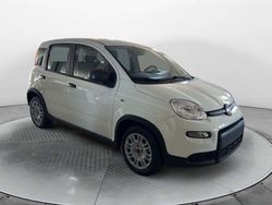 Bianco Nuova 2025 Fiat Panda S Due volumi | 13.500 €