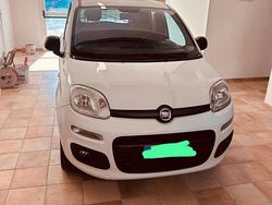 Bianco Usata 2017 Fiat Panda 4x4 Due volumi | 8000 €