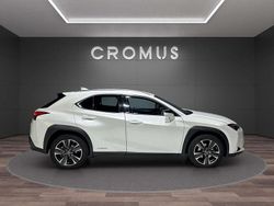 Other Usata 2020 Lexus UX Luxury Line SUV | 23.900 € (Molto cara)
