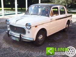 Beige Usata 1959 Fiat 1100 Lusso Tre volumi | 10.000 €