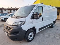 Bianco pastello Usata 2019 Fiat Ducato Furgone | 18.000 € (Buon prezzo)