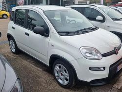 Bianco Usata 2024 Fiat Panda S Tre volumi | 14.900 € (Molto cara)