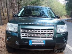 Verde Usata 2010 Land Rover Freelander 2 HSE SUV | 7500 € (Molto cara)