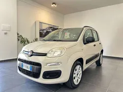 Beige Usata 2014 Fiat Panda Easy Due volumi | 5500 € (Ottimo prezzo)