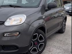 Grigio Usata 2021 Fiat Panda Due volumi | 9499 € (Buon prezzo)