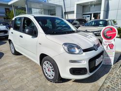 Bianco Usata 2022 Fiat Panda Due volumi | 11.450 € (Buon prezzo)