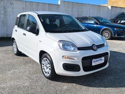 Bianco Usata 2019 Fiat Panda Easy Tre volumi | 9490 € (Cara)