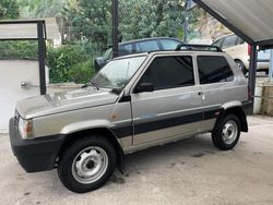 Argento Usata 2003 Fiat Panda 4x4 Trekking Due volumi | 9300 € (Molto cara)