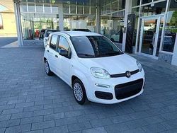 Bianco Nuova 2025 Fiat Panda Icon Tre volumi | 14.750 €
