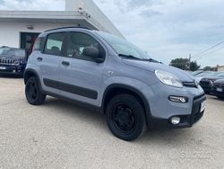 Grigio Usata 2018 Fiat Panda 4x4 S Due volumi | 13.500 € (Molto cara)