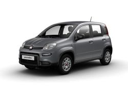 Grigio Usata 2023 Fiat Panda Due volumi | 16.050 € (Molto cara)