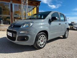 Grigio Usata 2019 Fiat Panda Due volumi | 9490 € (Buon prezzo)