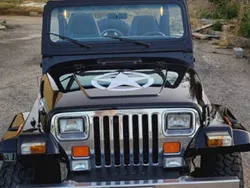 Usata 1993 Jeep Wrangler SUV | 19.000 €