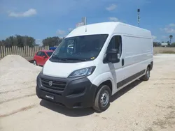 Bianco Usata 2021 Fiat Ducato Furgone | 12.500 € (Ottimo prezzo)