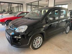 Nero Usata 2023 Fiat Panda S Due volumi | 11.900 € (Buon prezzo)