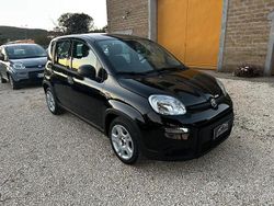 Nero Usata 2023 Fiat Panda S Tre volumi | 11.990 € (Buon prezzo)