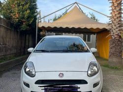 Bianco Usata 2012 Fiat Punto Due volumi | 4500 €