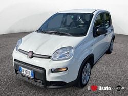 Bianco Usata 2023 Fiat Panda Due volumi | 11.900 € (Buon prezzo)