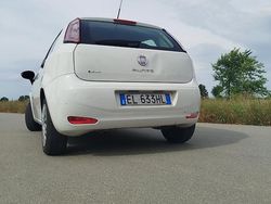 Bianco Usata 2012 Fiat Punto Due volumi | 4000 € (Buon prezzo)