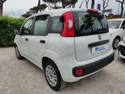 Bianco Usata 2019 Fiat Panda Easy Due volumi | 12.250 € (Molto cara)