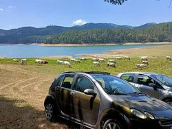 Usata 2006 Smart ForFour Due volumi | 2000 € (Buon prezzo)