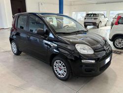 Nero Usata 2022 Fiat Panda Tre volumi | 7490 € (Super prezzo)