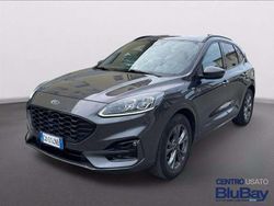 Grigio Usata 2020 Ford Kuga ST-Line X SUV | 18.900 € (Cara)