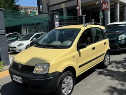 Usata 2006 Fiat Panda 4x4 Due volumi | 3900 € (Ottimo prezzo)
