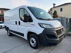 Bianco Usata 2021 Fiat Ducato Furgone | 11.500 € (Ottimo prezzo)