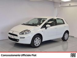 Bianco Usata 2015 Fiat Punto Street Tre volumi | 7490 € (Cara)