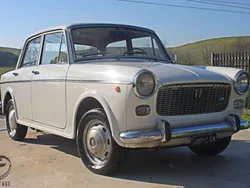 Bianco Usata 1965 Fiat 1100D Tre volumi | 6500 €