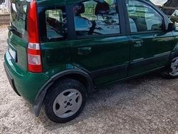 Verde Usata 2005 Fiat Panda Due volumi | 4000 € (Molto cara)