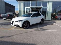 Bianco Usata 2024 Alfa Romeo Stelvio Veloce SUV | 37.500 € (Buon prezzo)