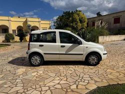 Bianco Usata 2012 Fiat Panda Lounge Due volumi | 4500 € (Ottimo prezzo)