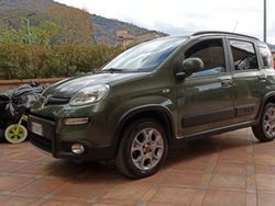 Verde Usata 2015 Fiat Panda Due volumi | 9000 €