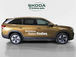 Marrone Usata 2024 Skoda Kodiaq Selection SUV | 38.900 € (Molto cara)