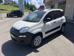 Bianco Usata 2020 Fiat Panda 4x4 S Due volumi | 11.000 € (Buon prezzo)