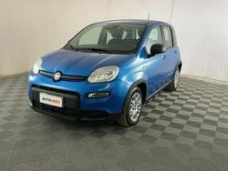 Blu Usata 2025 Fiat Panda | 13.199 € (Buon prezzo)