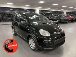 Nero masaccio Usata 2024 Fiat Panda Due volumi | 12.499 € (Buon prezzo)