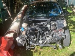 Nero Usata 2004 VW Golf V | 900 € (Ottimo prezzo)