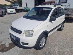 Bianco Usata 2007 Fiat Panda 4x4 Climbing Due volumi | 5680 € (Buon prezzo)