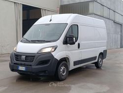 Bianco Usata 2024 Fiat Ducato 33 Furgone | 21.200 € (Ottimo prezzo)