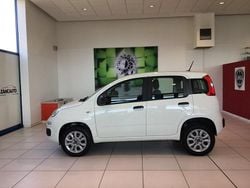 Bianco Usata 2019 Fiat Panda Easy Due volumi | 9300 € (Buon prezzo)
